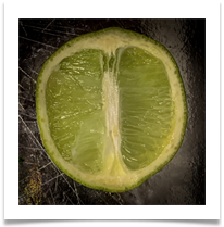 02 lime IMG_8854 - Carol Sparkes